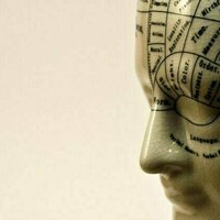 Why were people so drawn to phrenology?