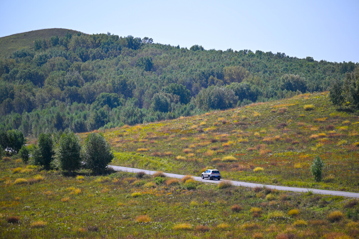 CHINA-INNER MONGOLIA-CHIFENG-ULAN BUTONG-SCENERY-EARLY AUTUMN (CN)