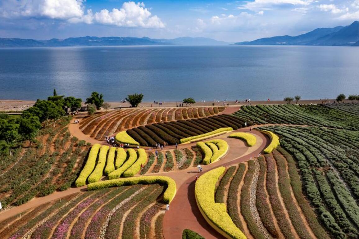 Solid progress in China's green development in 2021-2025