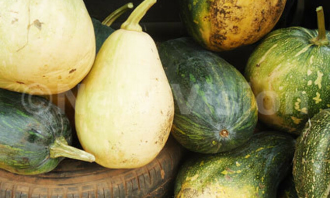 Treat that constipation with pumpkins Treat that constipation with pumpkins