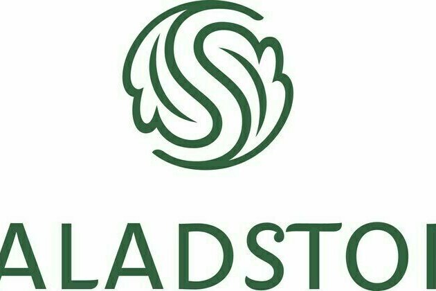 SaladStop! Group Welcomes Former McDonald's CEO China to Board of Directors