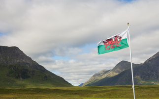 Wales bans untested livestock movement owing to bluetongue threat