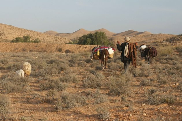 How pastoral farming can help to avoid a biodiversity crisis