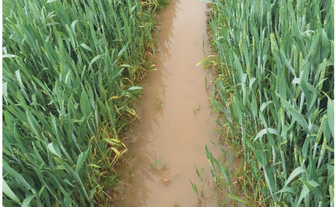 Benefits of sensor technologies for water management on-farm