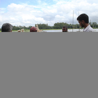 BANGLADESH-MANIKGANJ-JUTE-CULTIVATION