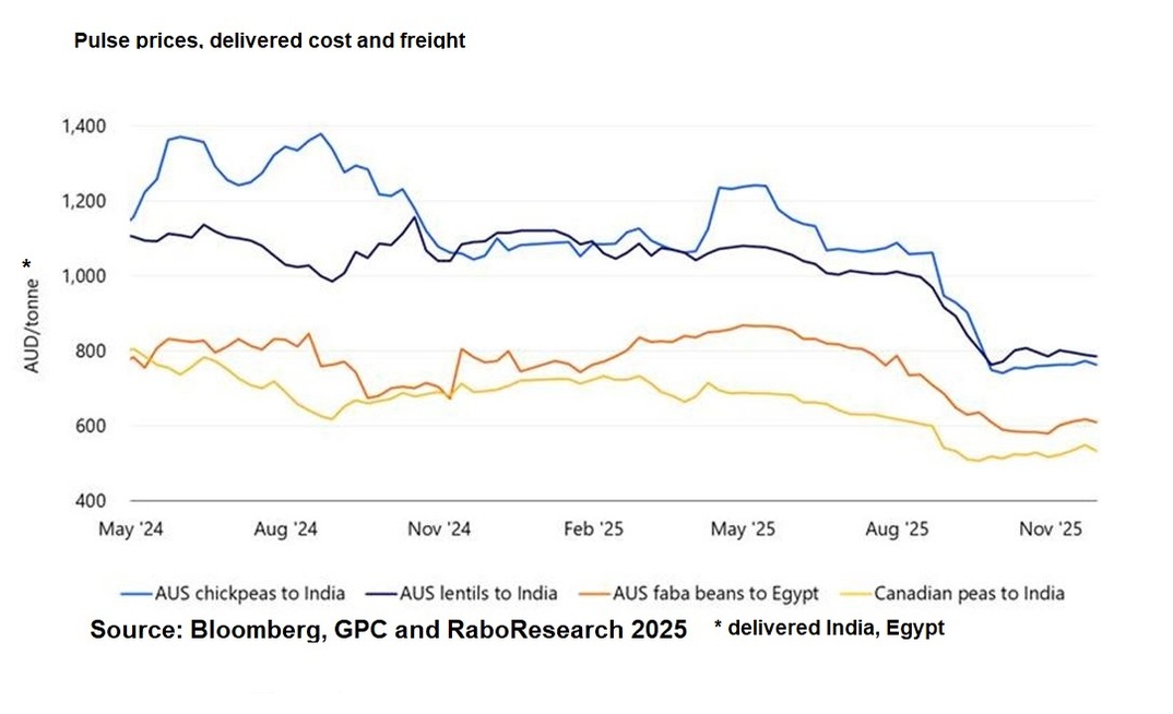 Rabobank says a favourable Indian pulse crop may impact Australian grain prices.