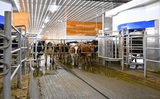 Drumgoon Dairy invests in robotic technology to further expand