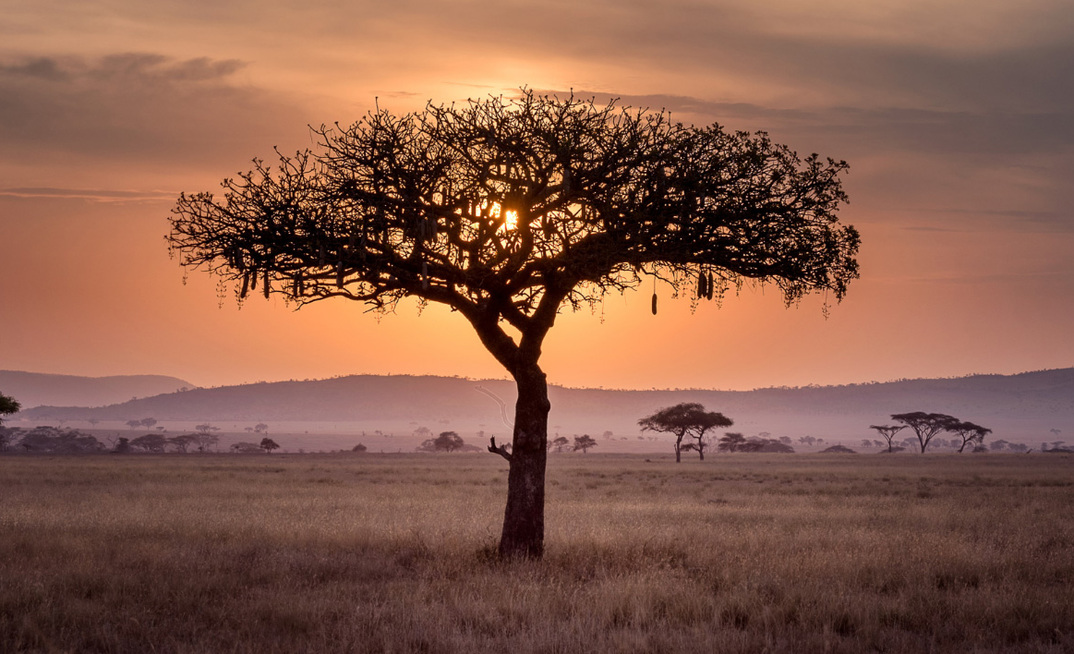 Namibia is looking good for WIA