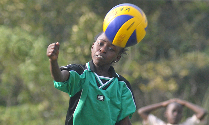 Nine schools do battle in KAVC tourney Nine schools do battle in KAVC tourney