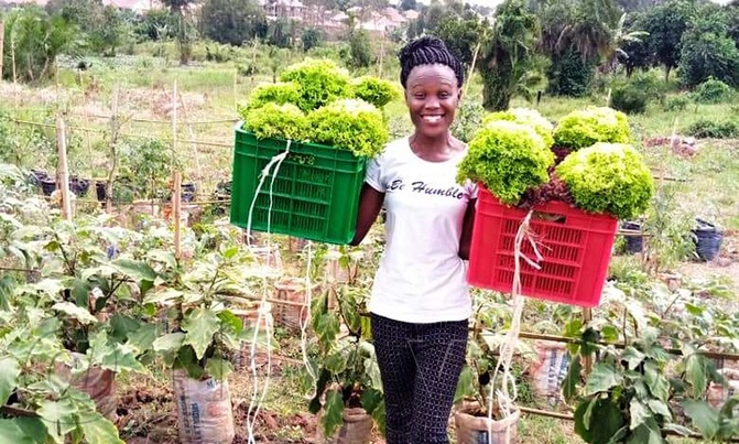 Katono doesn't eat bread of idleness, she grows Lettuce Katono doesn't eat bread of idleness, she grows Lettuce