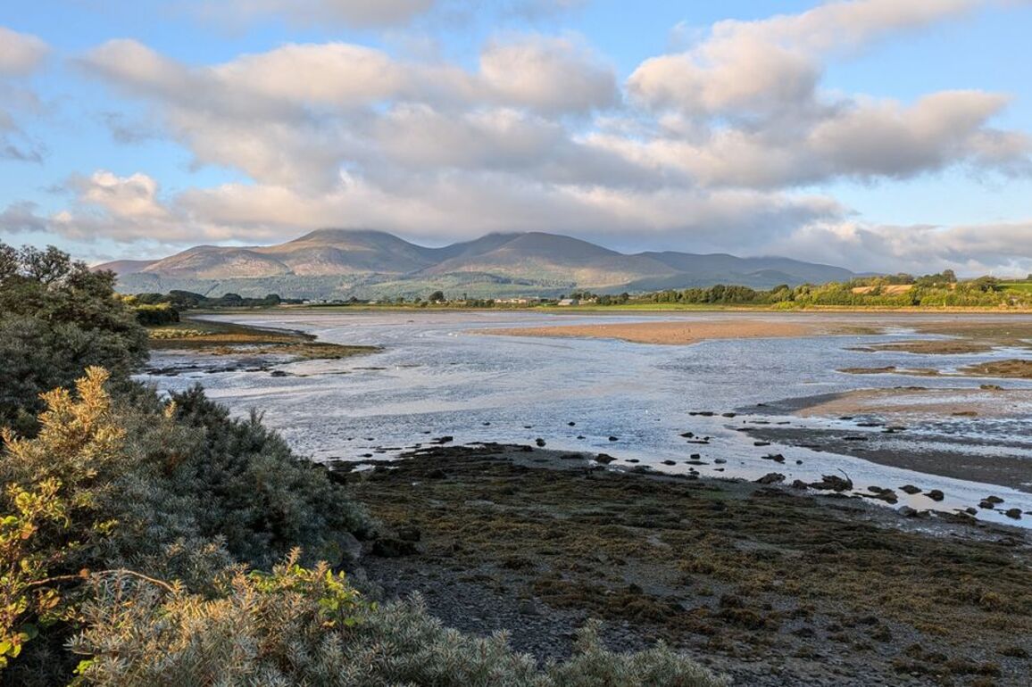 Co Down beach attack accused appears in court