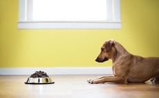 KKR buys majority stake in New Zealand animal health business