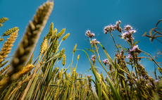 Lloyds and Wildfarmed launch Food & Nature Resilience Fund
