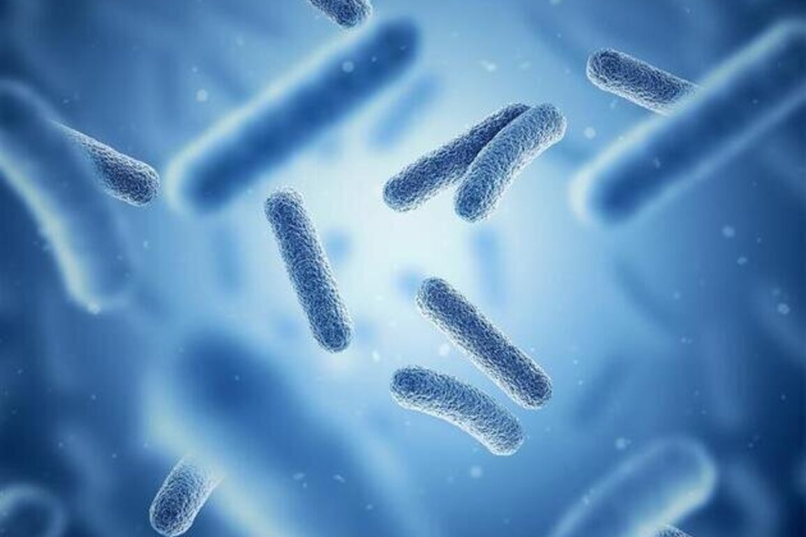 Dubai to host global symposium on science, healthcare, investment