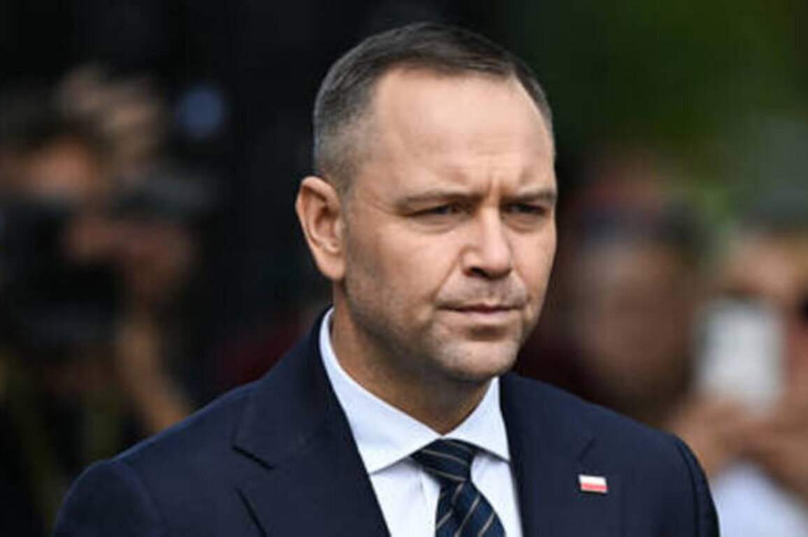 Poland furious over Ukraine peace talks snub - Politico
