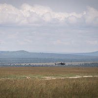 KENYA-LAIKIPIA-BLACK RHINO-TRANSLOCATION