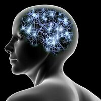 How does your brain create new memories? Neuroscientists discover 'rules' for how neurons encode new information