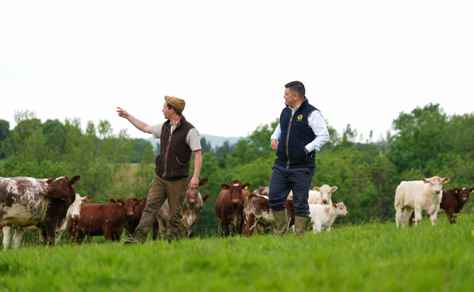 Partner Insight: People, systems and decisions - designing livestock farms for the future