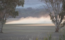 Participants are being sought for a new Venture Studio program aimed at improving drought resilience. Photo: Mark Saunders.