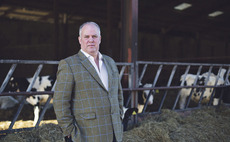 Government must commit to 'substantial' support package for Welsh farmers