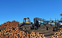 Almost 5,000 farming, fishing and forestry businesses have collapsed since 2020, says new report
