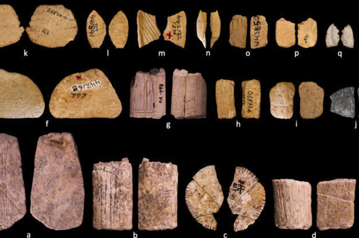 Native Americans tossed dice 6,000 years before Old World 