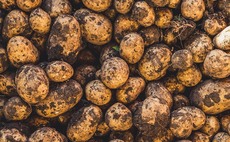 Confidence in potato market