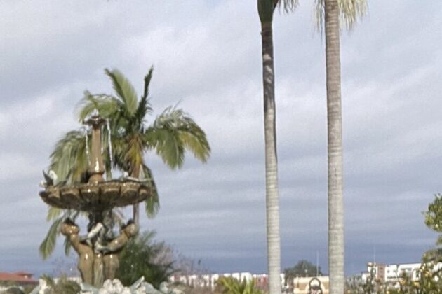 Financial Details Emerge In Halls Lakeland Exit