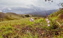 A new era in mine closure: sustainable solutions inspired by nature