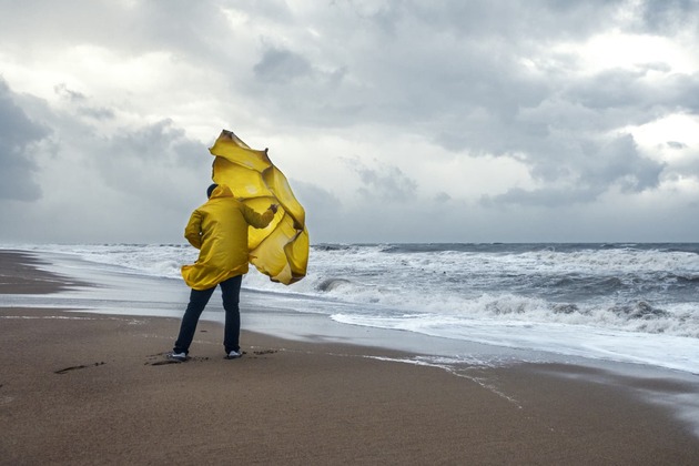 The eye of the hurricane- Why the U.S. job market has soured, economists say