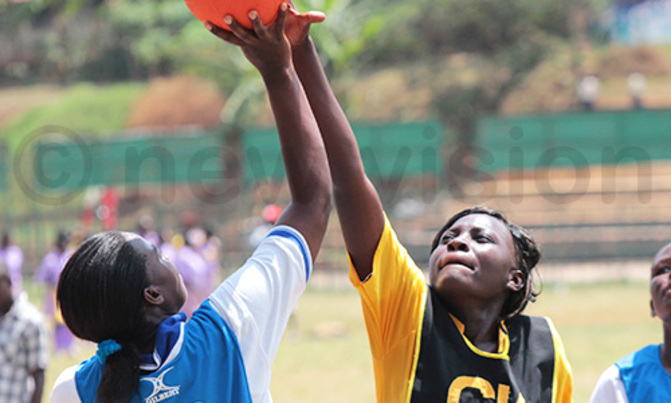 Netball league restart postponed Netball league restart postponed