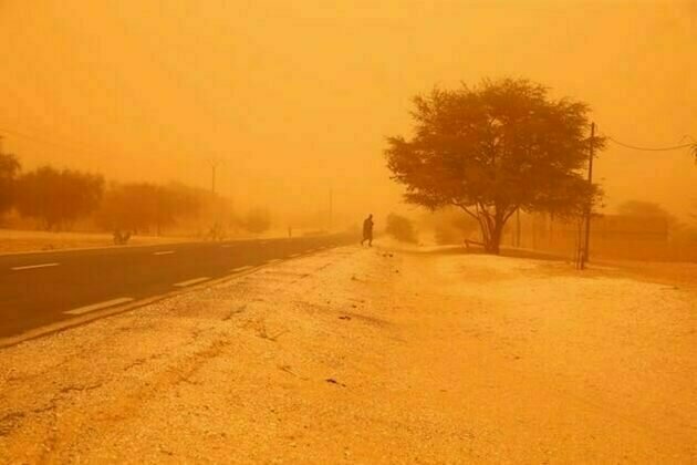 West Africa's hazardous winds: Harmattan carries more than dust - it also spreads disease