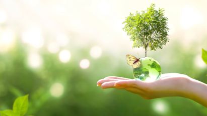Sustainability gaining traction