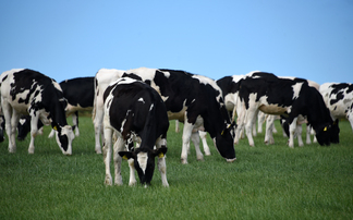 Are your youngstock holding back your milk cheque?