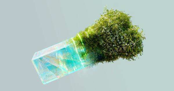 In focus: Plug and play or robot takeovers? How green businesses can harness 'disruptive' AI - Vimarsana News