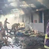 PM Modi condoles death of 16 workers in Tamil Nadu's Virudhunagar fire incident