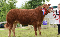 GREAT YORKSHIRE SHOW: Limousins take the hat-trick 