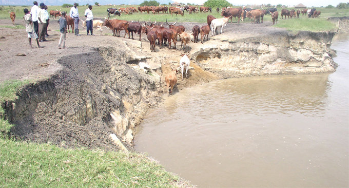 uman activities such as unsustainable grazing of cattle are threatening water resources