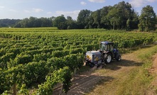  A broadacre electric weed control trial is starting soon in WA using technology similar to this unit which has been used in vineyards. Image courtesy DPIRD.