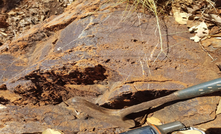   Peako has completed its first drilling in the Kimberley.