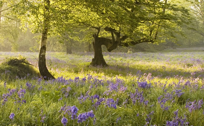 Credit: Natural England