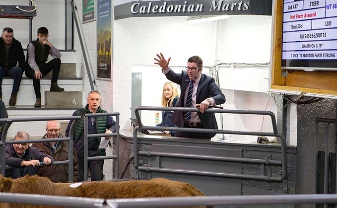 Live ring provides adrenaline rush for young auctioneer