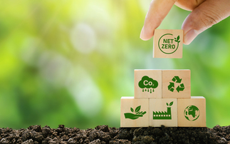 Carbon offsetting and the SBTi: How to solve a problem like corporate supply chain emissions