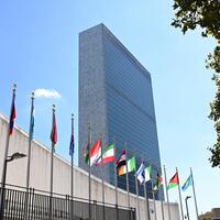 Column: Global South and a more equitable balanced int'l order
