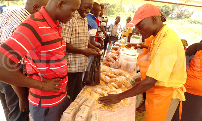 10,000 Teso households to grow sweet potatoes 10,000 Teso households to grow sweet potatoes