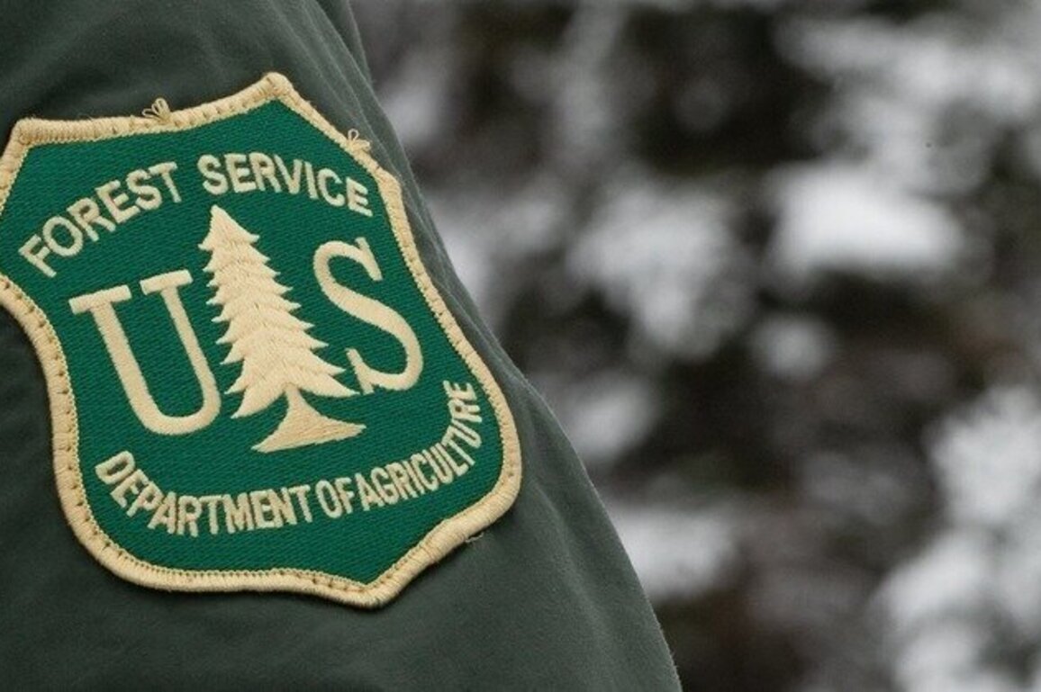 Advocates: U.S. Forest Service move to UT could harm woodlands