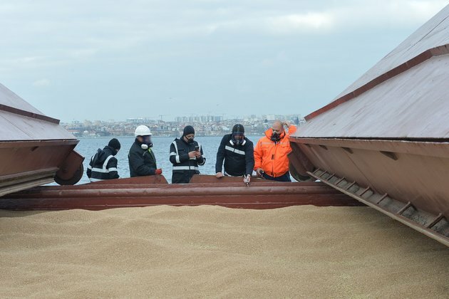 Biggest beneficiaries of Black Sea grain deal named