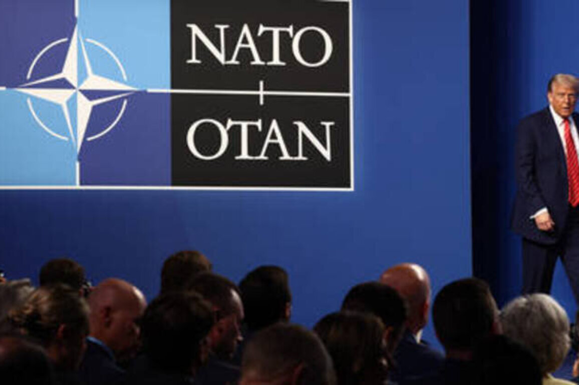 NATO officials withholding intel from US over Greenland row - media