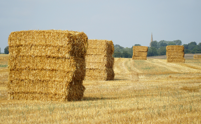 It is an early straw season with volumes under pressure and prices set to rise. 