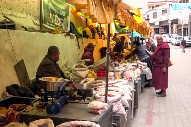 From Pashmina to Apricots: GST reforms to boost Ladakh's economy